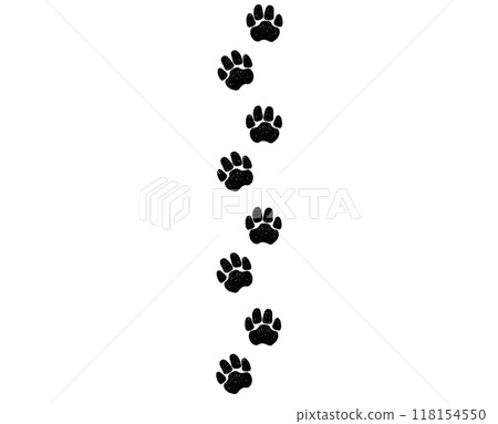 A path of paw prints of pets, dog or cat. Isolated illustration in grunge style on white background. Vector illustration. 118154550