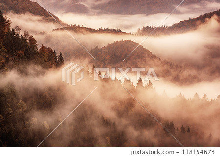 Misty mountain landscape 118154673