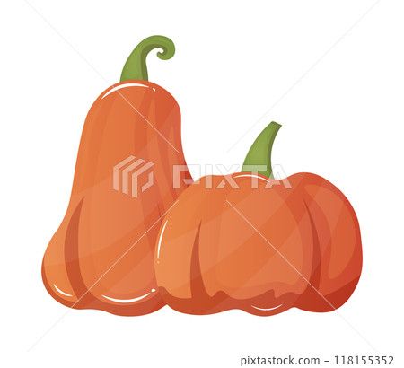 orange pumpkins vector illustration flat style autumn harvest thanksgiving seasonal design isolated on a white background 118155352