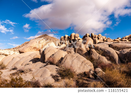 Joshua Tree National Park 118155421