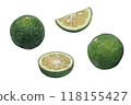 Sudachi illustration set 118155427