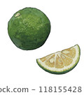 Sudachi illustration 01 118155428