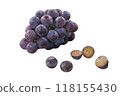 Grape illustration set 118155430