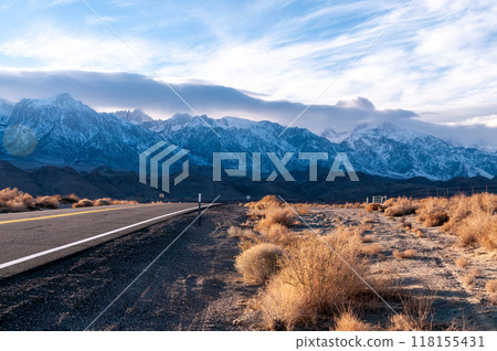 Lone pine California 118155431