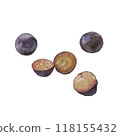 Illustration of grapes 118155432