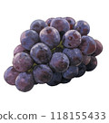 Grape illustration 118155433