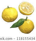 Yuzu illustration set 118155434