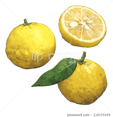 Yuzu illustration set 118155434