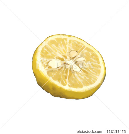 Illustration of cut yuzu 118155453
