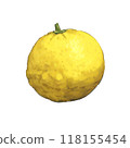 Yuzu illustration 118155454