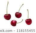 American cherry illustration 118155455