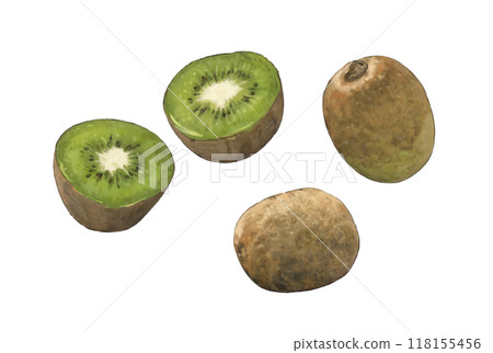 Green kiwi illustration set 118155456