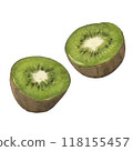 Illustration of a cut green kiwi 118155457