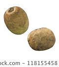 Green kiwi illustration 118155458