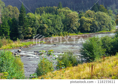 Landscape of mountain river among the hills with pine ans spruce trees with rocky shore, fast water Landscape of mountain river among the hills with pine ans spruce trees with rocky shore, fast water 118155611