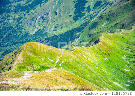 A vibrant landscape showcases the lush green hills of the Western Tatras in Slovakia, with winding trails inviting hikers to explore the scenic beauty during the summer months. 118155758