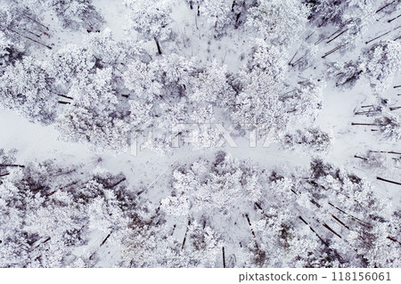 Winter road in snow covered forest, aerial view. Estonia. Winter road in snow covered forest, aerial view. Estonia. 118156061