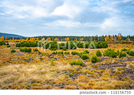 Vibrant autumn foliage adorns a serene valley filled with rich grass and scattered shrubs. The clear sky complements the warm hues of the season, creating a picturesque natural setting. Vibrant autumn foliage adorns a serene valley filled with rich grass and scattered shrubs. The clear sky complements the warm hues of the season, creating a picturesque natural setting. 118156750
