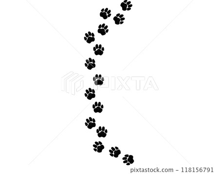 A path of paw prints of pets, dog or cat. Vector illustration drawn with chalk or charcoal on white background. 118156791