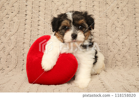 Adorable Puppy with Red Heart Pillow 118158020