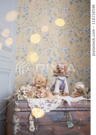 可愛的泰迪熊和玩具貴賓犬 可愛的泰迪熊和玩具貴賓犬 118158596