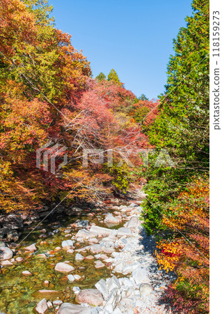 Akazawa Valley (Autumn) Akazawa Valley (Autumn) 118159273