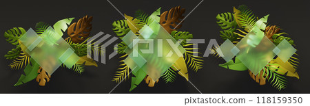 3d set of glass morphism square banner with tropical green palm leaf isolated on black background. Nature jungle transparent frame, blank clear plastic card with exotic plant foliage. 3D illustration 118159350