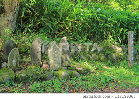 戰國街道石佛 118159365