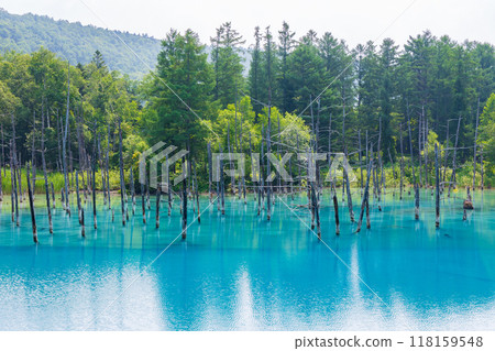 夏季北海道美瑛神秘的白銀藍池 夏季北海道美瑛神秘的白銀藍池 118159548