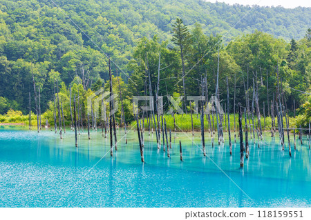 Summer in Hokkaido, Biei, the mysterious Shirogane Blue Pond Summer in Hokkaido, Biei, the mysterious Shirogane Blue Pond 118159551