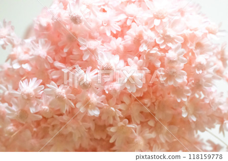 dried pink flowers dried pink flowers 118159778