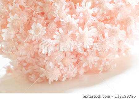 dried pink flowers dried pink flowers 118159780