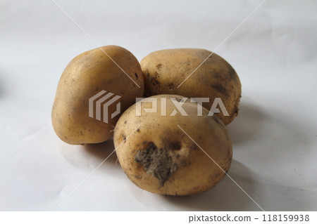 Potatoes harvested with mud 118159938