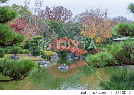 透過松樹，可以看到秋天寧靜的日本花園的壯麗景色 118160067