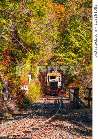 赤澤自然休養林:赤澤森林鐵路無軌電車 赤澤自然休養林:赤澤森林鐵路無軌電車 118161085