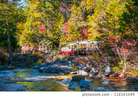 Akasawa Natural Recreation Forest: Akasawa Forest Railway Trolley Train 118161094