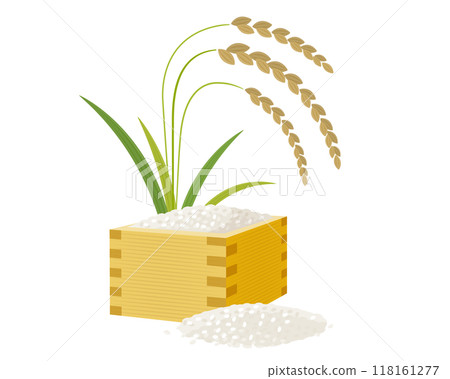 Newly harvested rice and ears of rice in a measuring cup: vector illustration of rice celebrating the harvest season 118161277