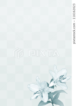 日式百合背景格子圖案垂直 118162023