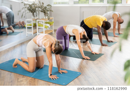 Young woman doing Cat Cow pose at group yoga class Young woman doing Cat Cow pose at group yoga class 118162990