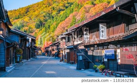 Nara Inui in autumn 118163258