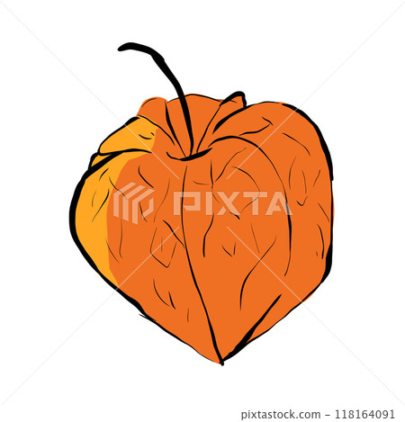 Orange physalis pop art illustration, simple digital style Orange physalis pop art illustration, simple digital style 118164091