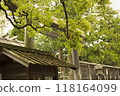Ise Shrine, Geku (Main Shrine) 118164099