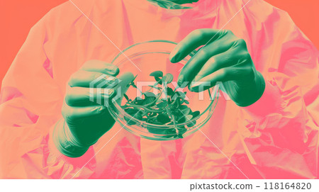 Modern Biotechnology in Agriculture: Genetic Plant Research for Sustainable and Eco-Friendly Crop Innovations. Modern Biotechnology in Agriculture: Genetic Plant Research for Sustainable and Eco-Friendly Crop Innovations. 118164820