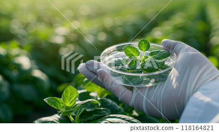 Innovative Plant Biotechnology: Sustainable Agricultural Research for Eco-Friendly Crop Solutions and Growth. Innovative Plant Biotechnology: Sustainable Agricultural Research for Eco-Friendly Crop Solutions and Growth. 118164821