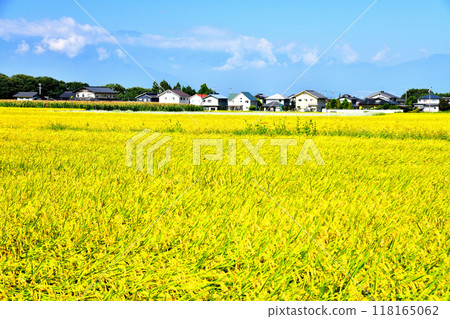 View of Mt. Kisokoma from Takato Town, Ina City, Nagano Prefecture (Ina City, Nagano Prefecture) [September 2024] 118165062