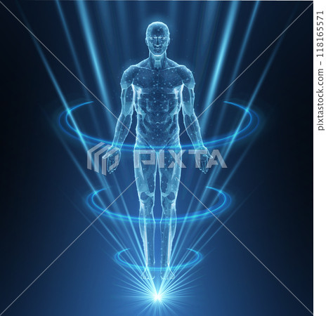Human body. Abstract vector. Digital anatomy, Medical technology, Muscle structure. Human body. Abstract vector. Digital anatomy, Medical technology, Muscle structure. 118165571