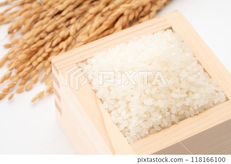 飯 飯 118166100