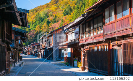 Nara Inui in autumn 118166202