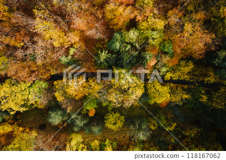 Aerial top view of autumn forest with colored trees in mountains. Nature landscape Aerial top view of autumn forest with colored trees in mountains. Nature landscape 118167062
