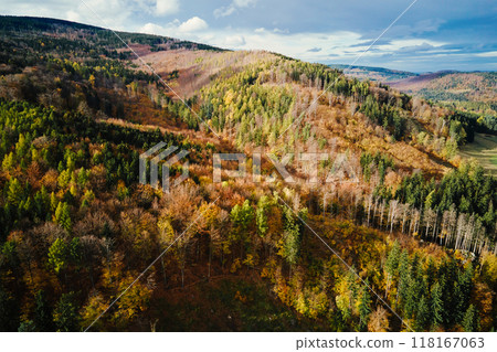 Mountains covered with colored autumn trees, aerial view. Beautiful nature landscape 118167063